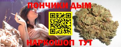 сатива Камышлов
