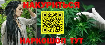 сатива Камышлов