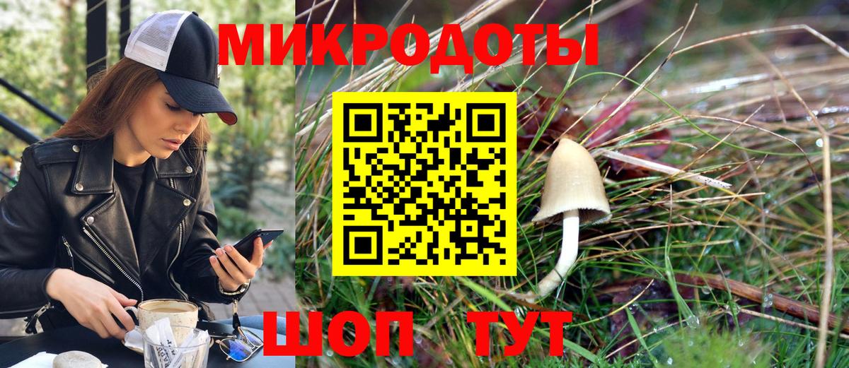 Псилоцибиновые грибы Cubensis  Галлюциногенные грибы ЛСД  Курчалой  Вход с VPN 